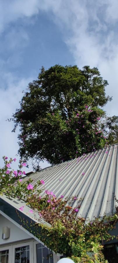 Munnar Tea Hills Resort - Mthr Dış mekan fotoğraf