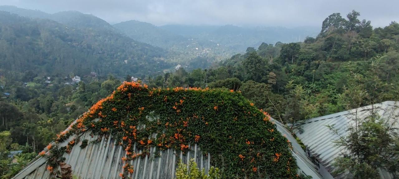 Munnar Tea Hills Resort - Mthr Dış mekan fotoğraf