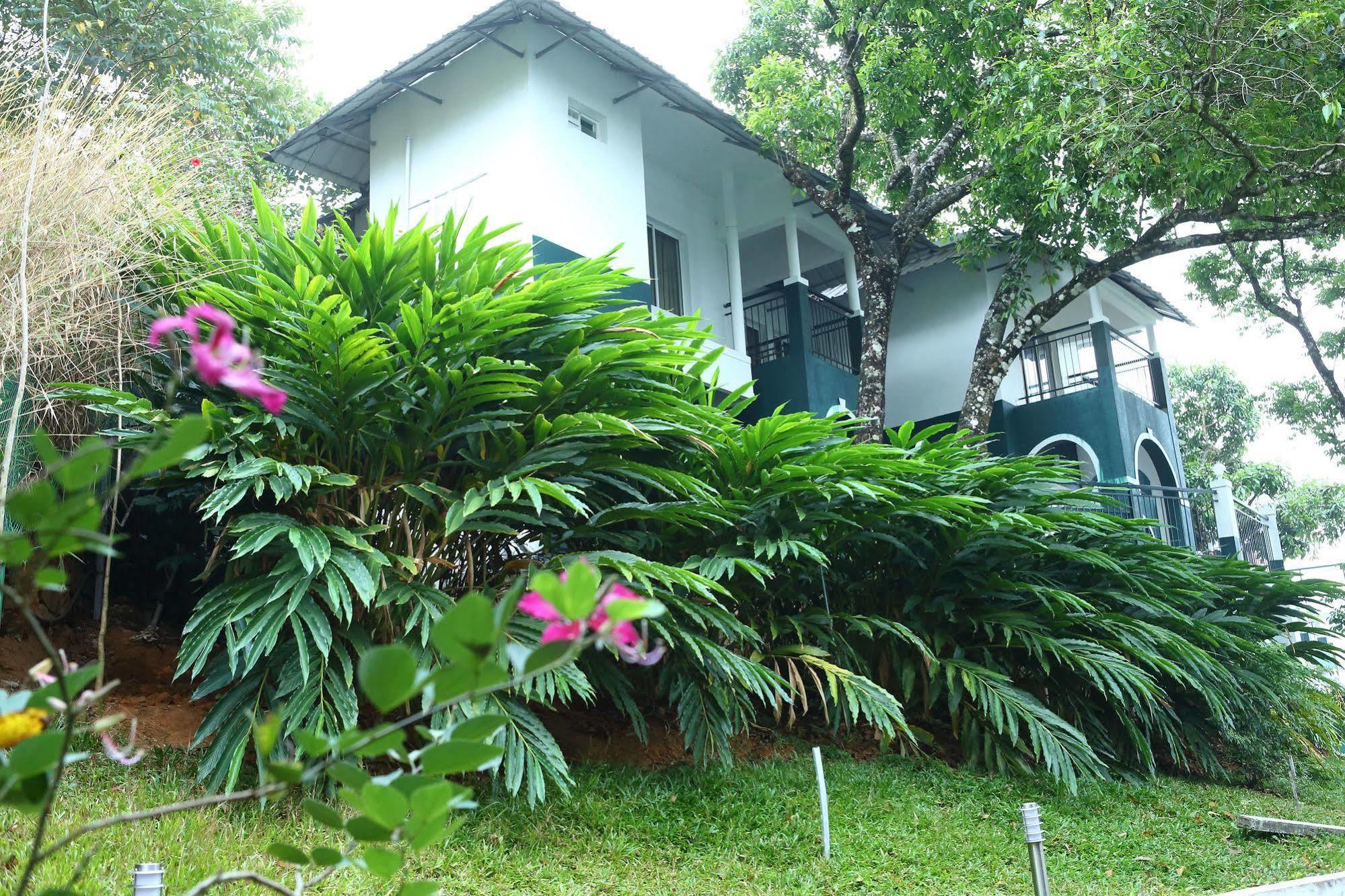 Munnar Tea Hills Resort - Mthr Dış mekan fotoğraf